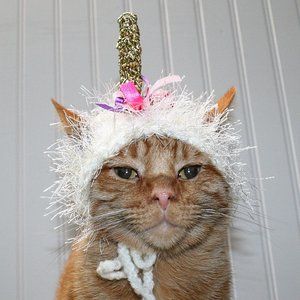 HAND CRAFTED Unicorn Cat Hat Crochet Hairy Wig Costume Photo Prop